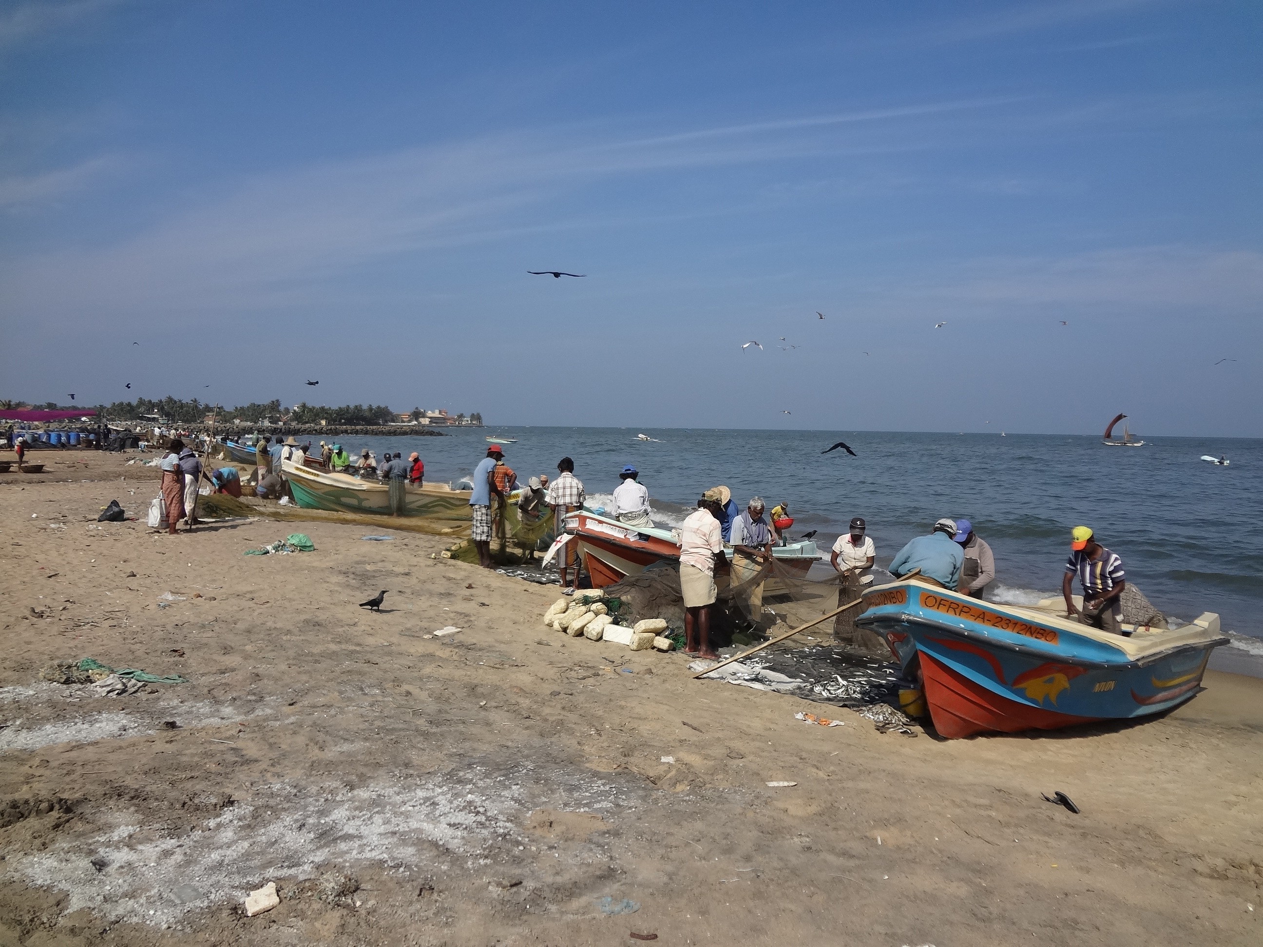 斯里兰卡2014		Negombo尼甘布